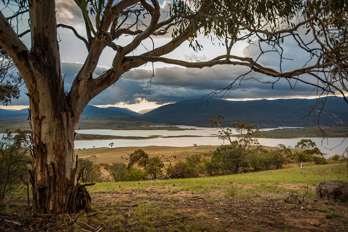 ready for you to build your escape.