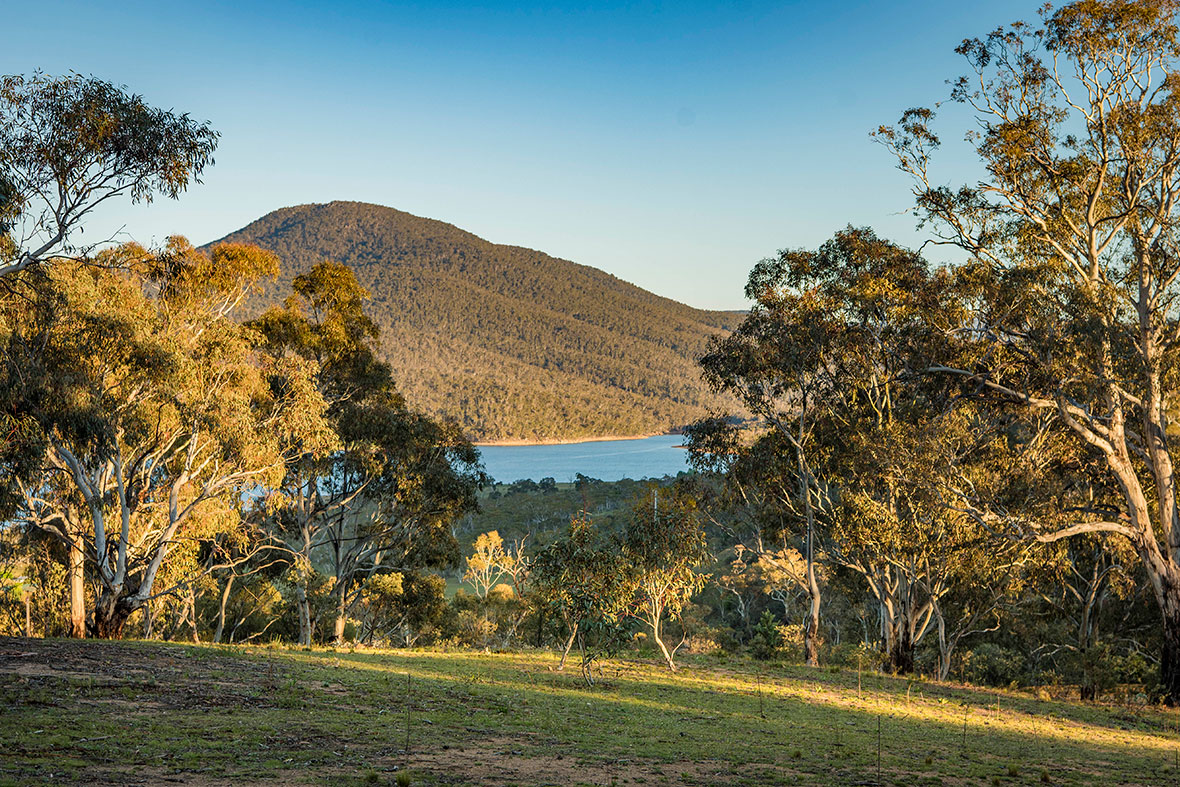 Beautifully sited lots