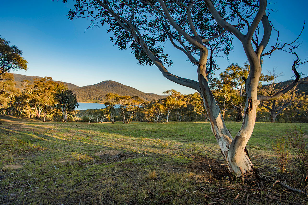 ...begins with a canvas.